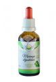 Krople Moringa oleifera– nalewka bezalkoholowa -50 ml